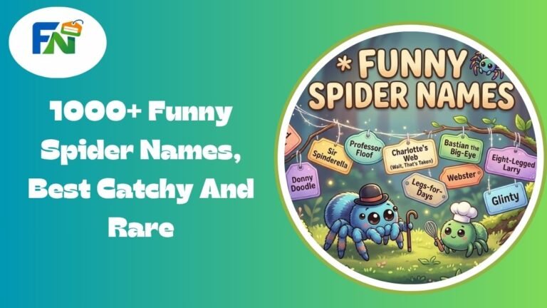 1000+ Funny Spider Names, Best Catchy And Rare