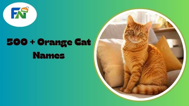 Orange Cat Names