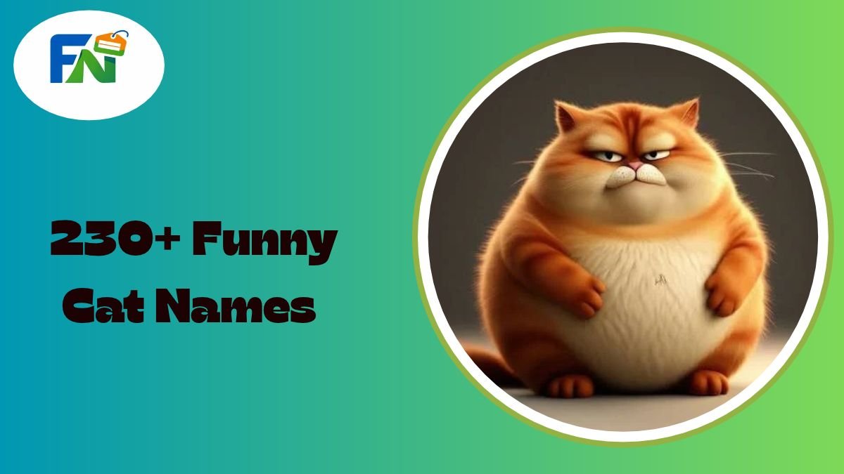Funny Cat Names