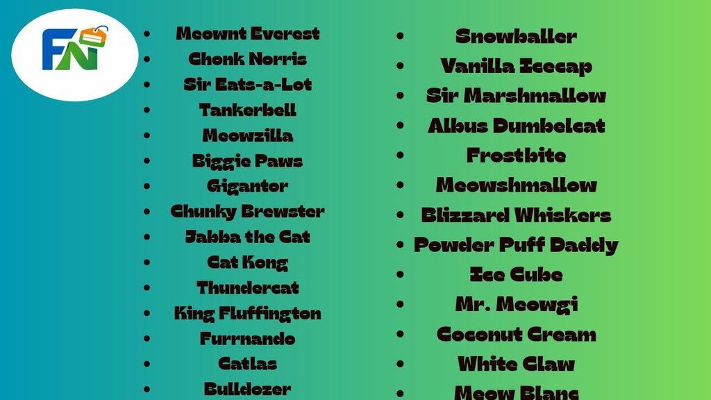 Funny Cat Names for Big Cats