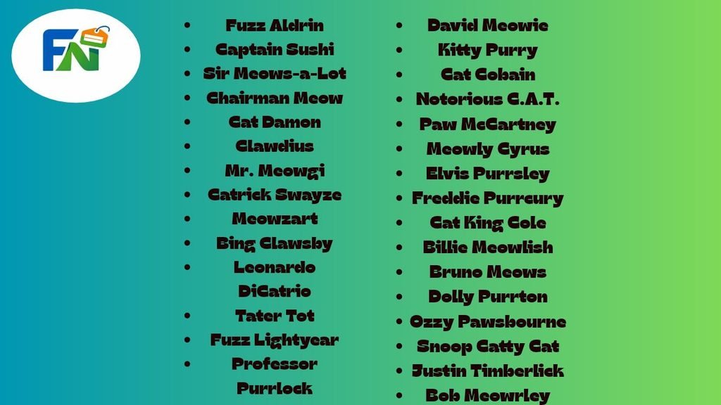 Funny Cat Names for Boys