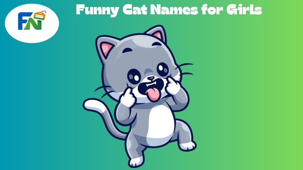 Funny Cat Names for Girls