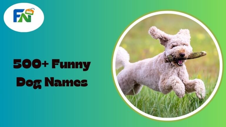Funny Dog Names