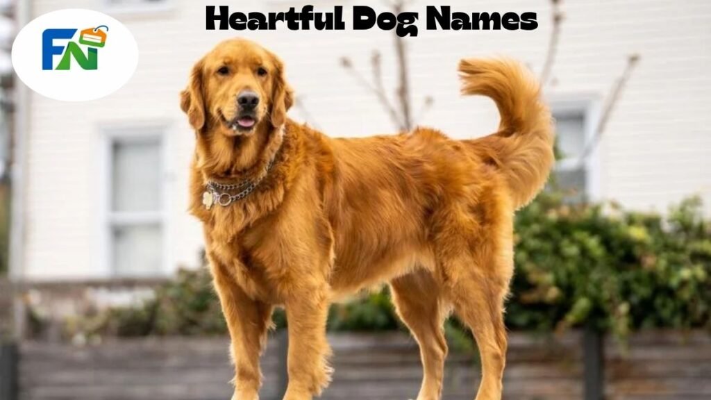 Heartful Dog Names