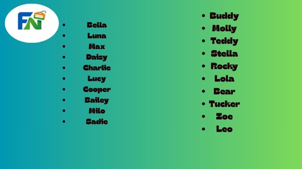 Popular Dog Names