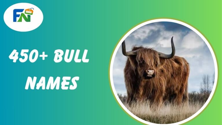 Bull Names