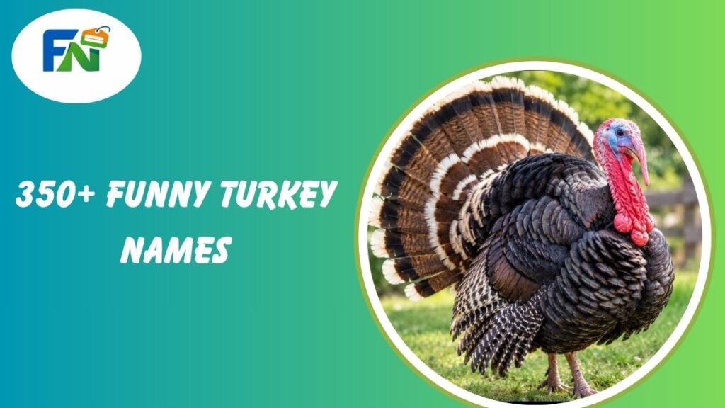 Funny Turkey names