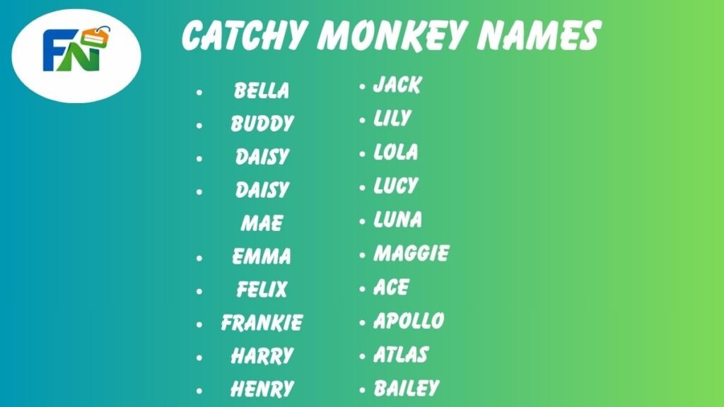 Catchy Monkey Names