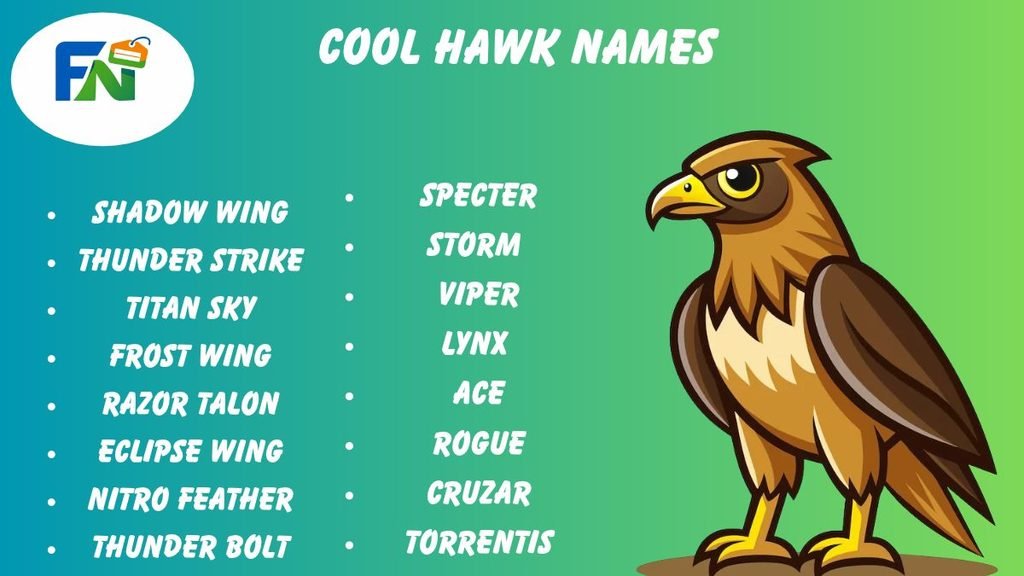 Cool Hawk Names
