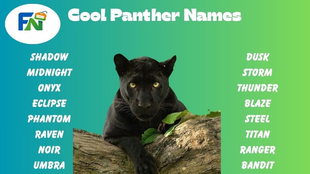 Cool Panther Names