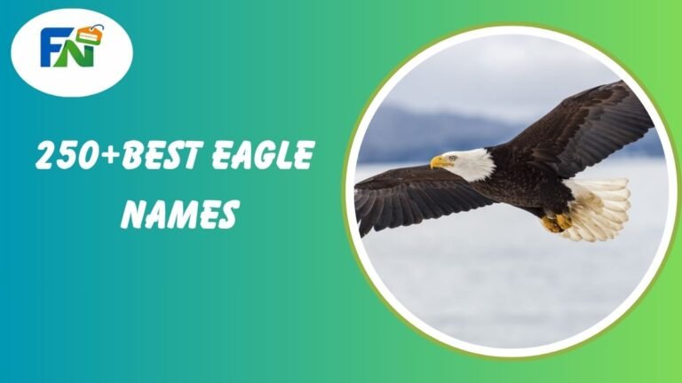 eagle names