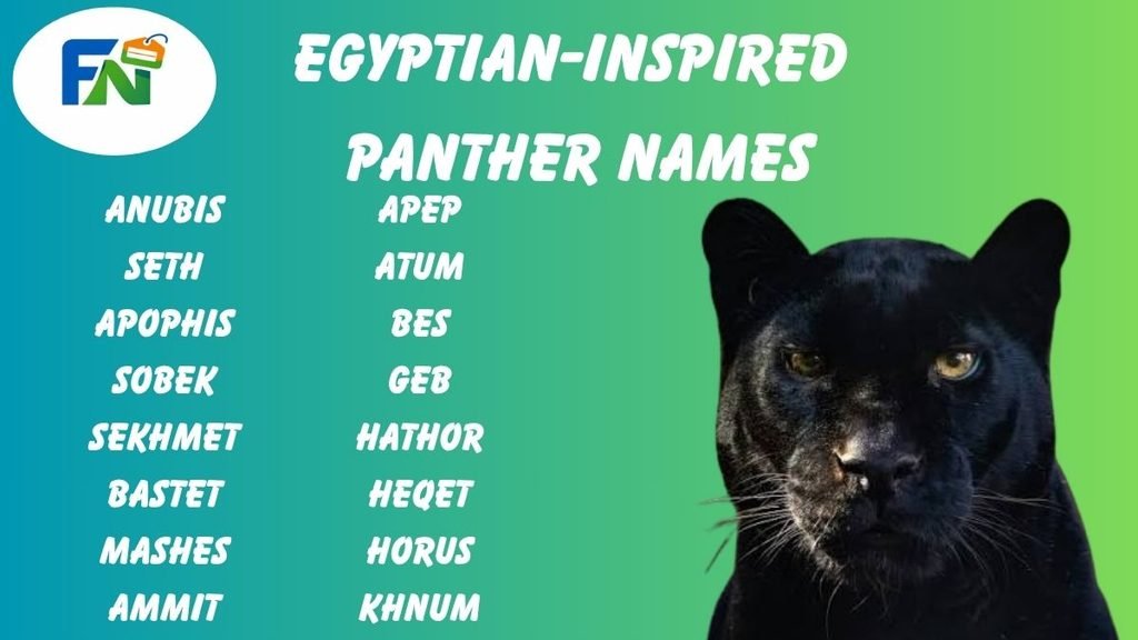 Egyptian Inspired Panther names