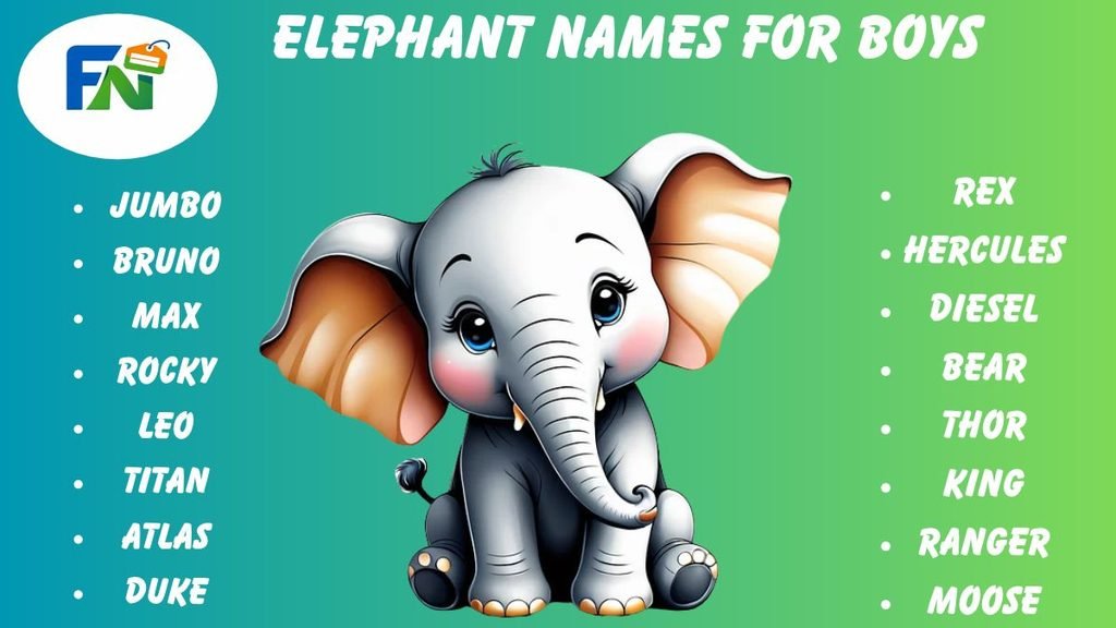 Elephant Names for Boys