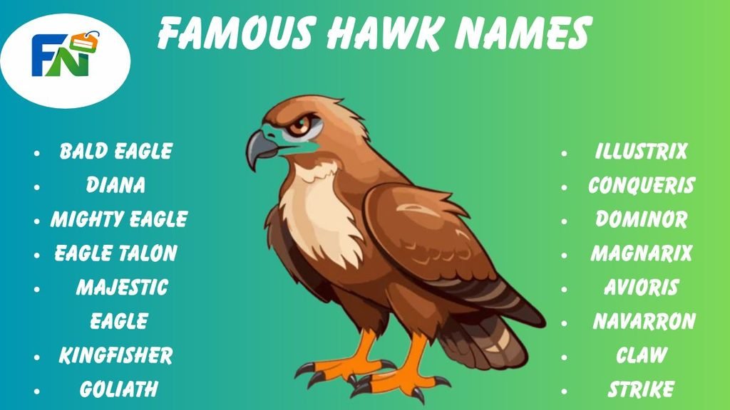 Famous Hawk Names