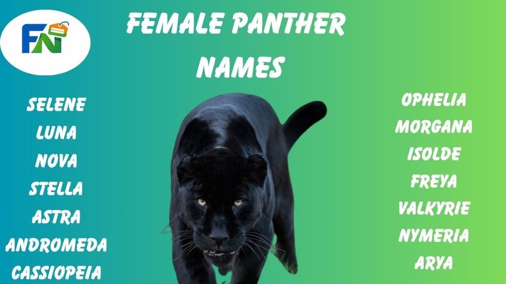 Female Panther names