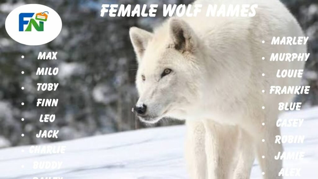 Female Wolf Names