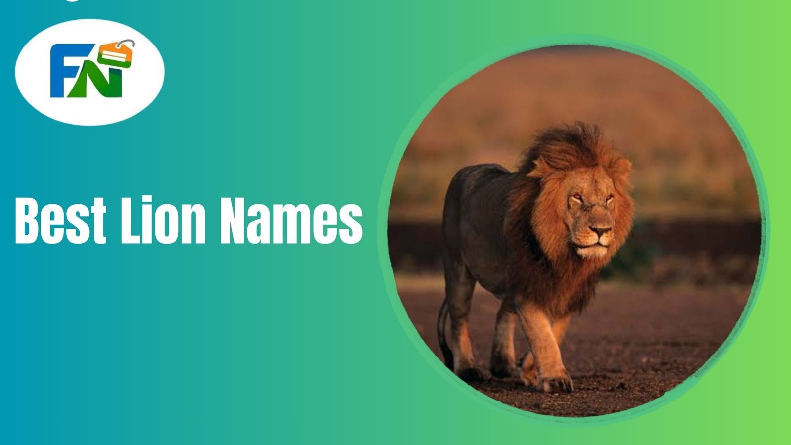 lion names