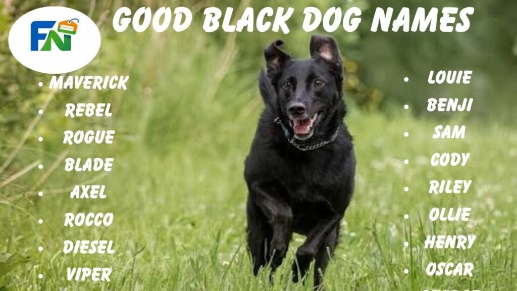 Good Black Dog Names