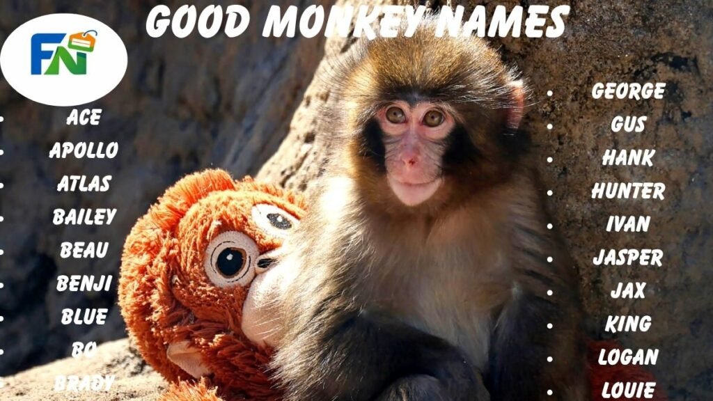 Good Monkey Names