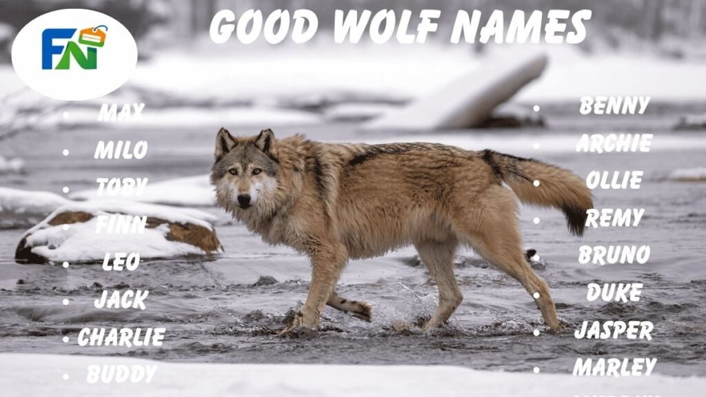 Good Wolf Names