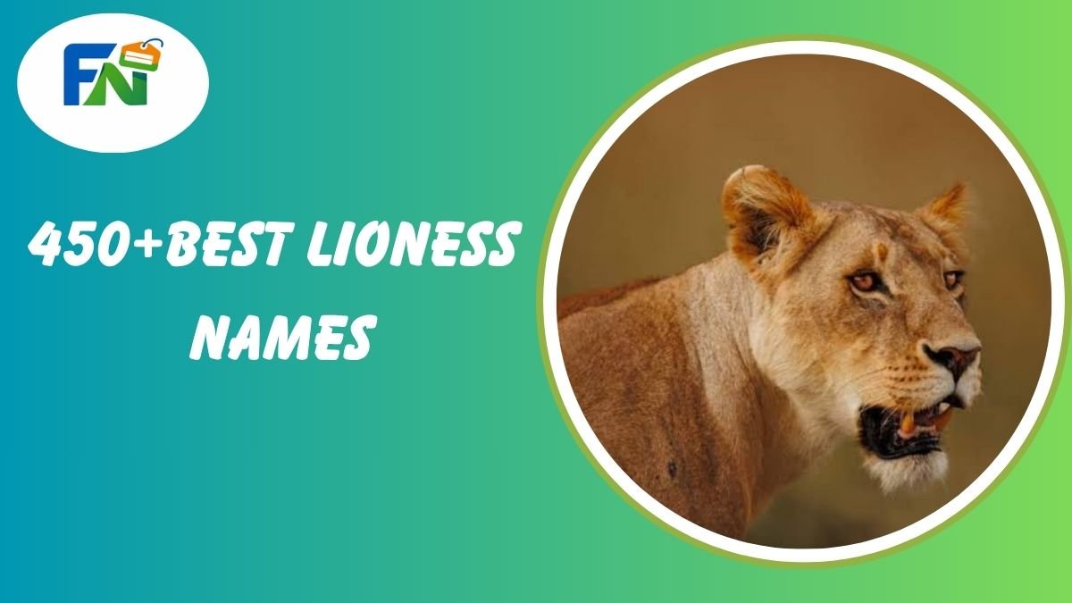 Lioness Names