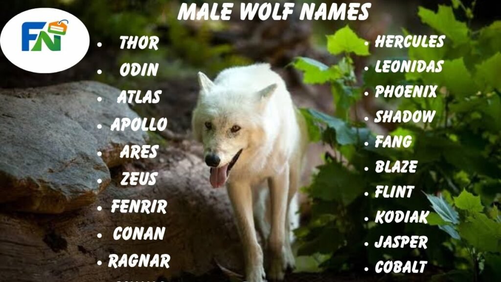 Male Wolf Names