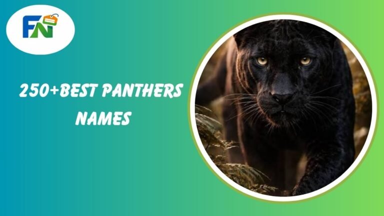 Best Panther names
