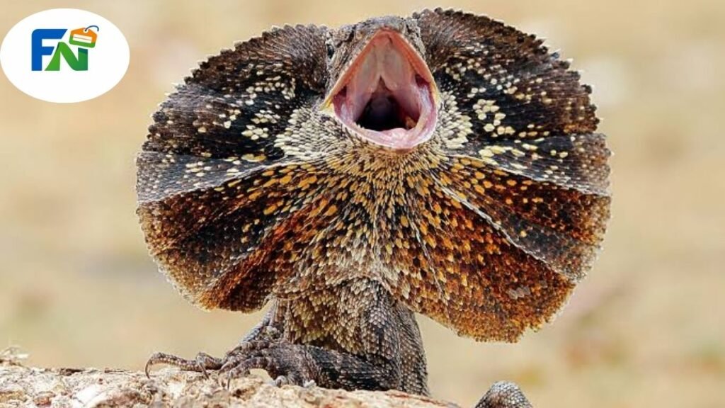 Popular Lizard Names