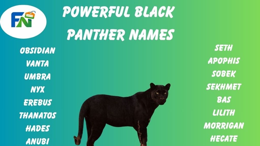 Powerful black panther names