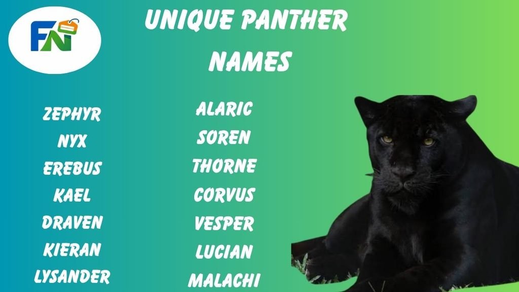 Unique panther names